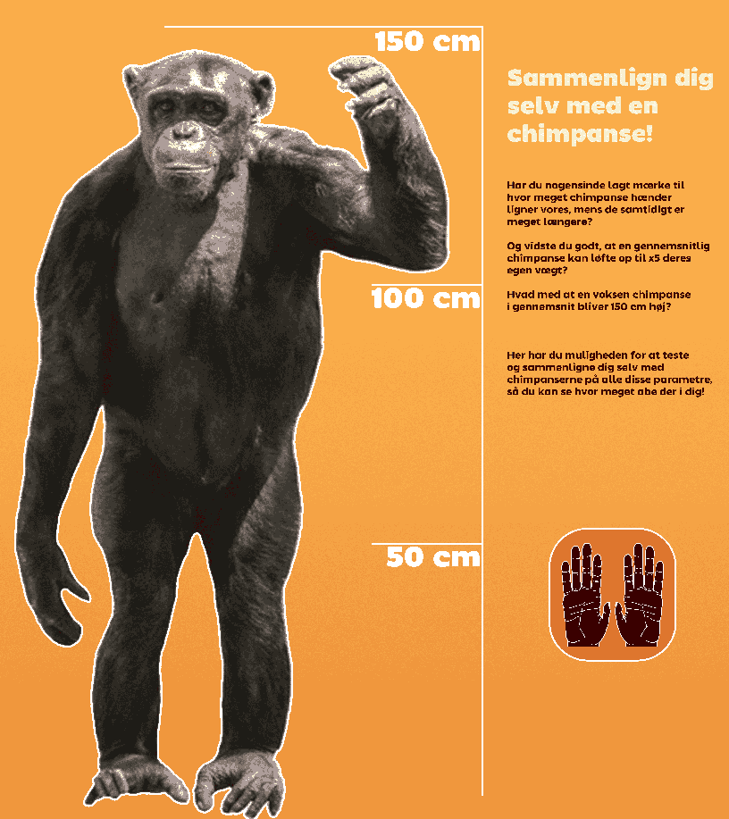 educational poster